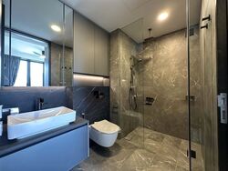 Irwell Hill Residences (D9), Apartment #624154501